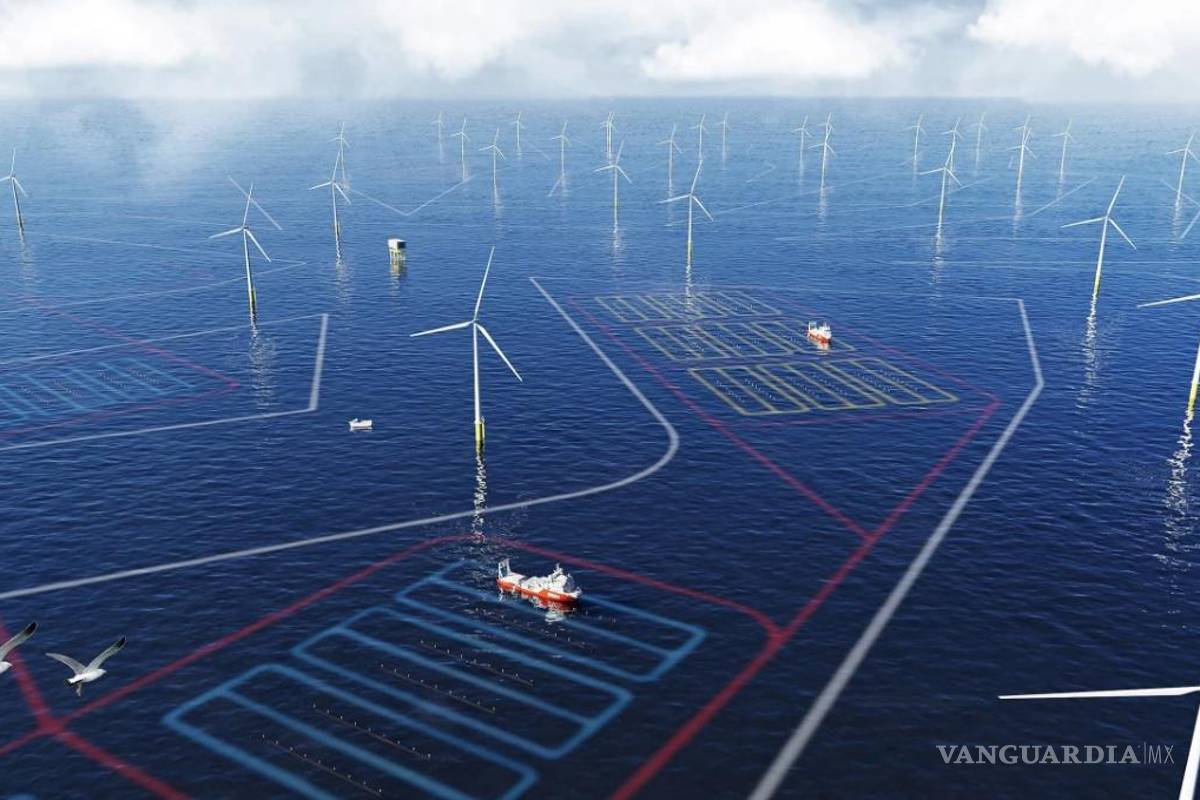 Amazon presenta su primera granja de algas marinas para luchar contra el cambio climático