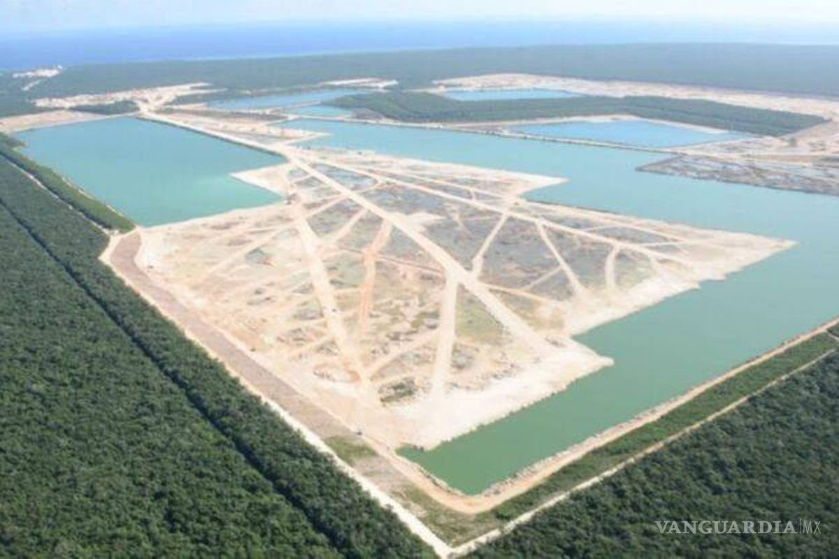 Si expropian a Vulcan, congreso de EU multaría a quien use puerto de Punta Venado en Quintana Roo