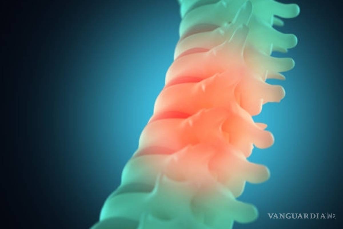 Mexicanos desarrollan polímeros para mejorar recuperación de lesión medular