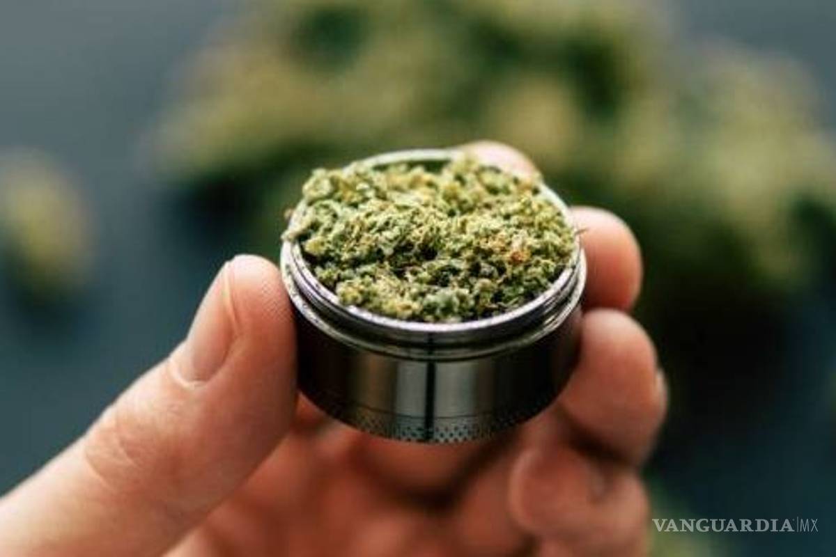 Se avanza hacia la regulación de la mariguana: activistas