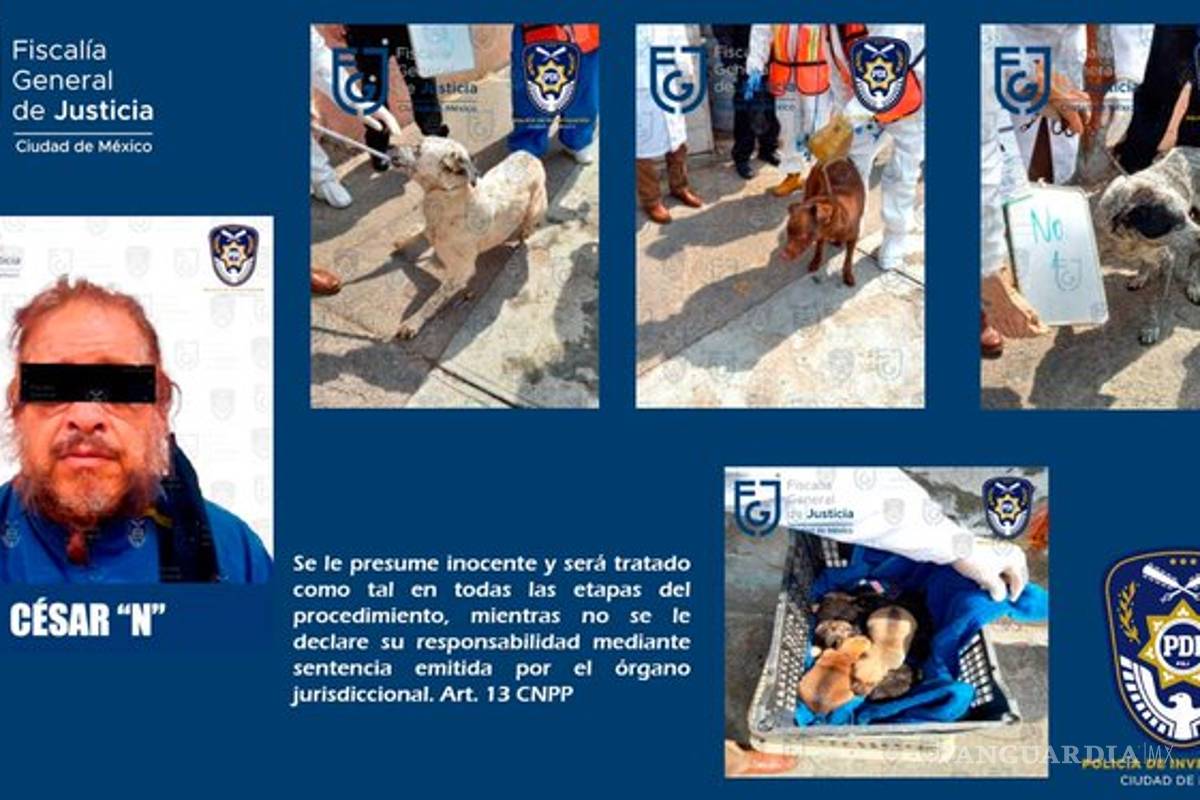 $!Rescatan a 27 perros que sufrían maltrato en alcaldía Cuauhtémoc, CDMX