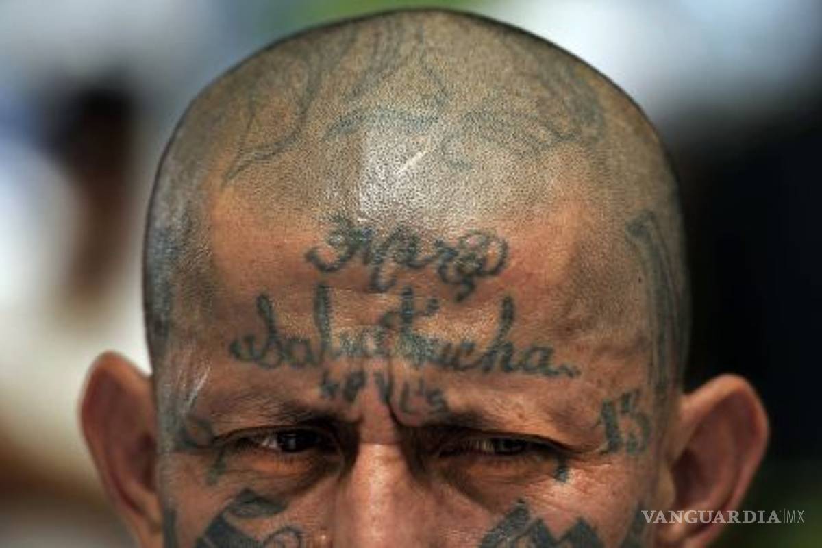 MS-13: la banda que le quita el sueño a Donald Trump