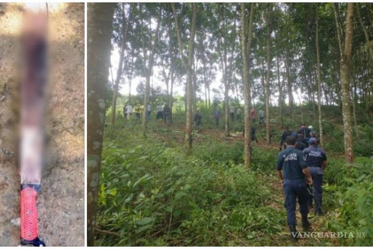 Asesinaron a machetazos a tres hermanos en Veracruz