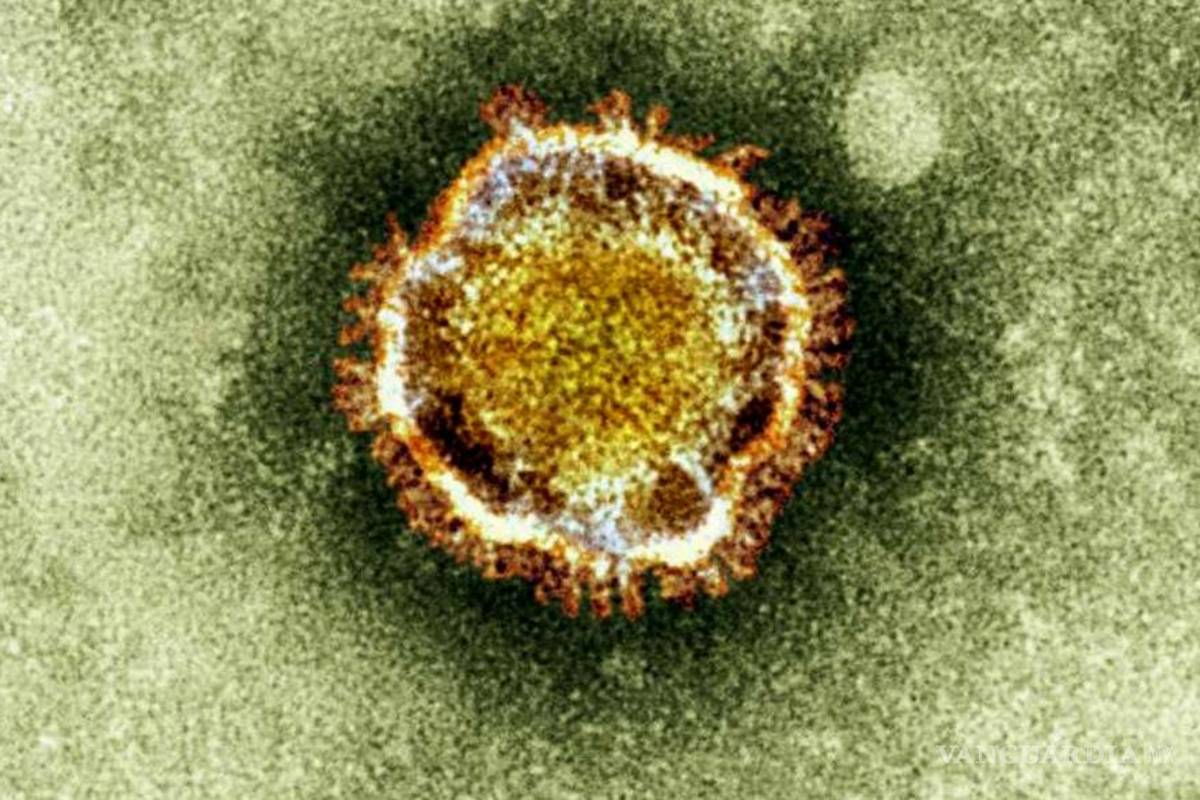 Por temor a tener coronavirus, hombre encierra a su familia y se suicida para 'proteger' a su pueblo