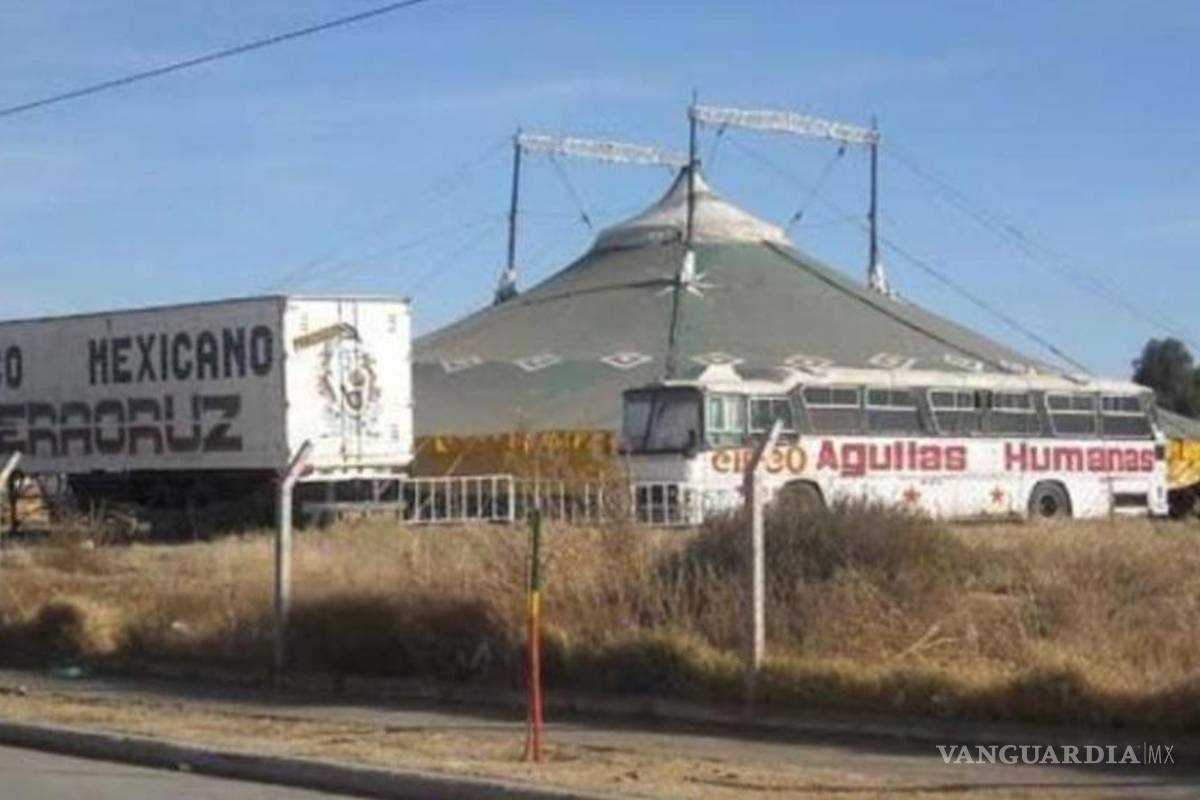 Dueño de circo mexicano irá a juicio en Argentina por supuesto maltrato a tigres