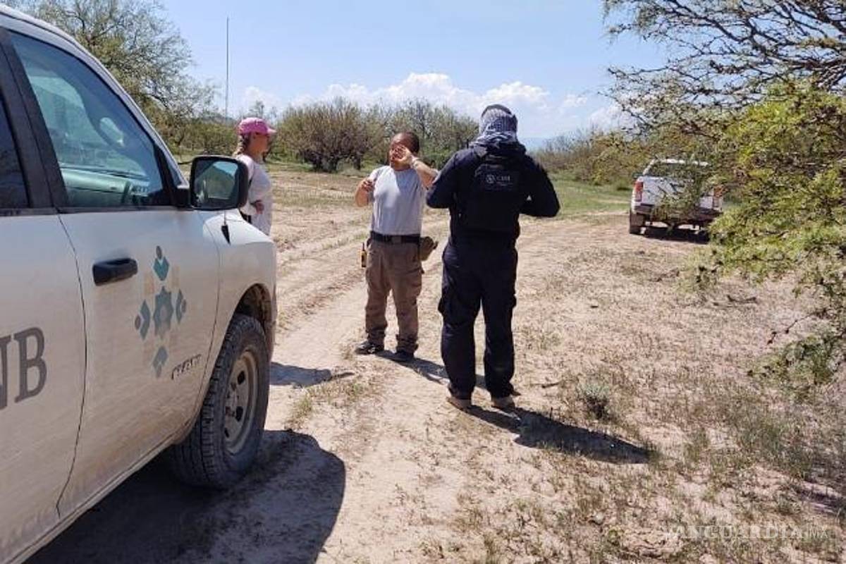Descarta Sheinbaum que se quiera desmantelar la Comisión de Búsqueda