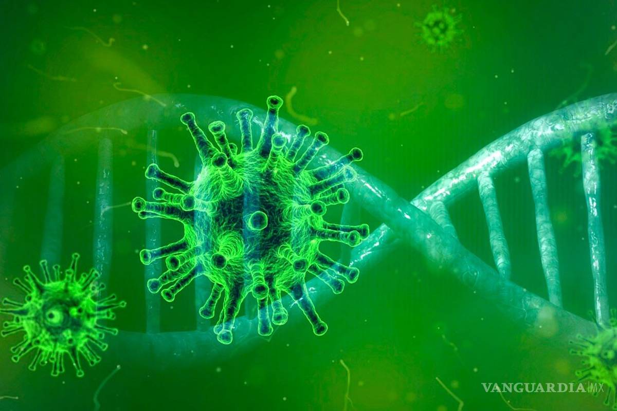 Así es como tus bacterias y microbios pueden salvarte de enfermedades como el COVID-19