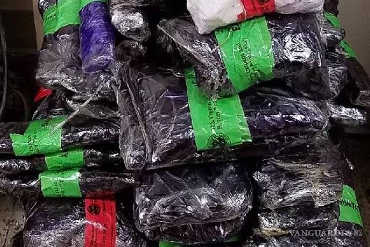 Decomisan droga en control de inmigración