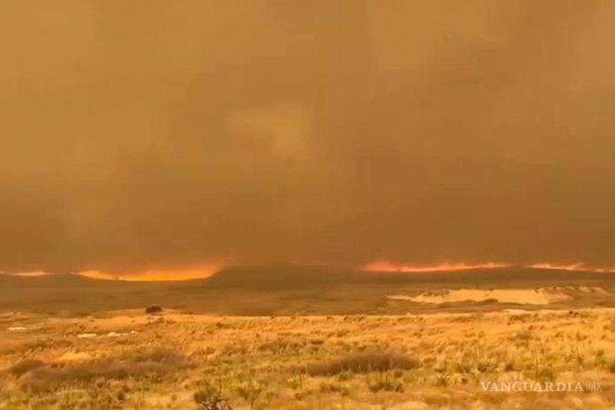 Texas se quema, enfrenta uno de los incendios forestales más grandes de su historia