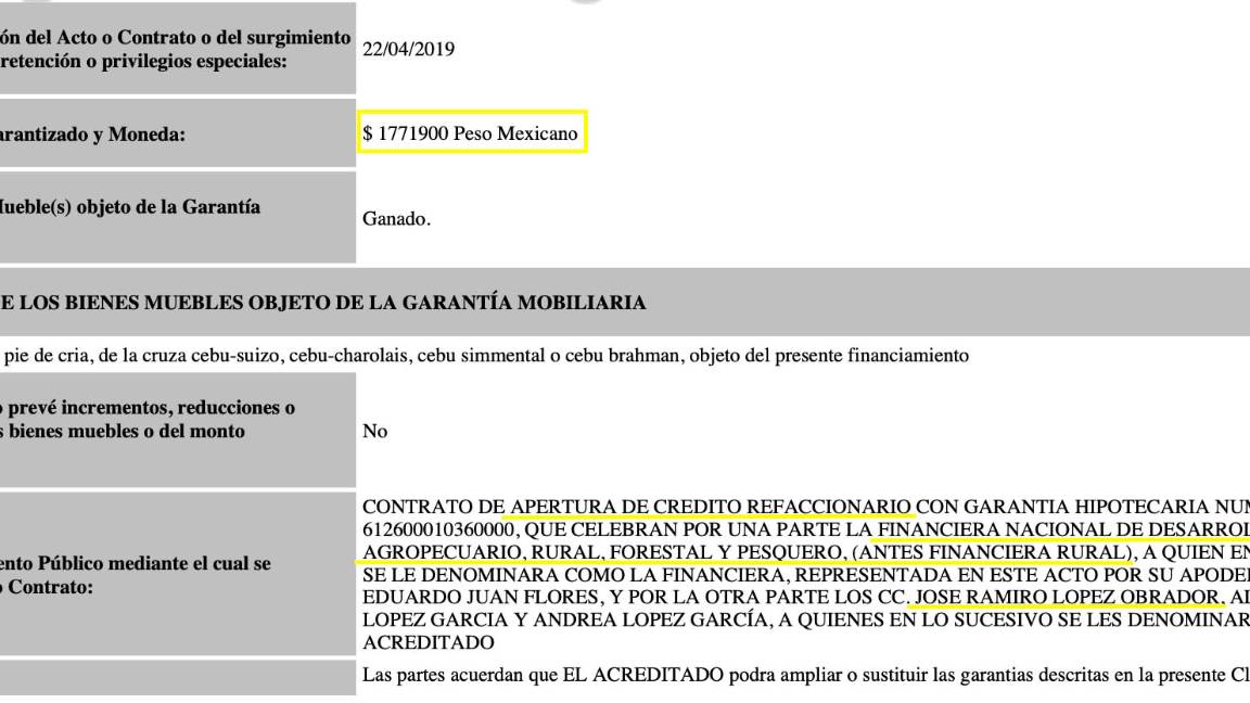 $!Hermano de AMLO, beneficiado con crédito millonario del gobierno