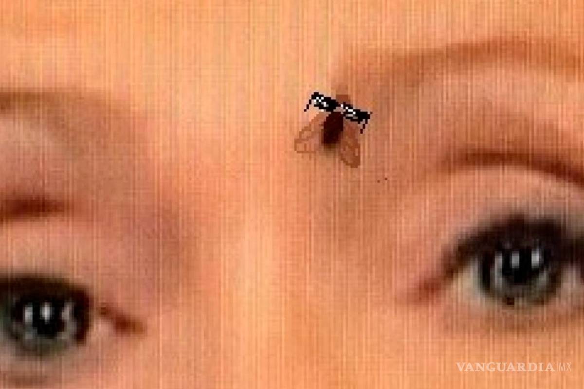 Fly Clinton: La mosca de la ceja de Hillary Clinton durante el debate ¡ya tiene cuenta!