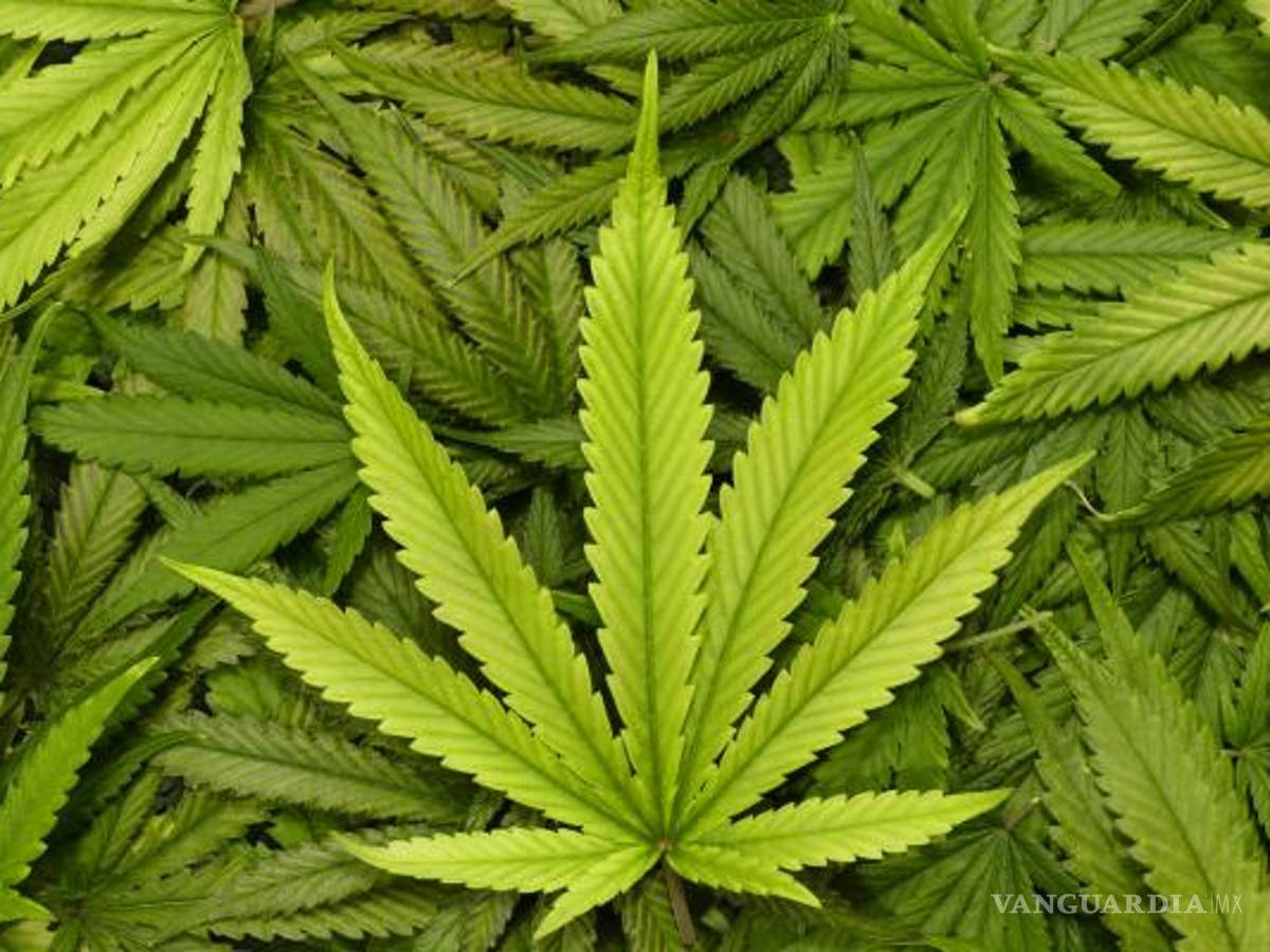 $!Jesusa Rodríguez compara el clítoris con la mariguana