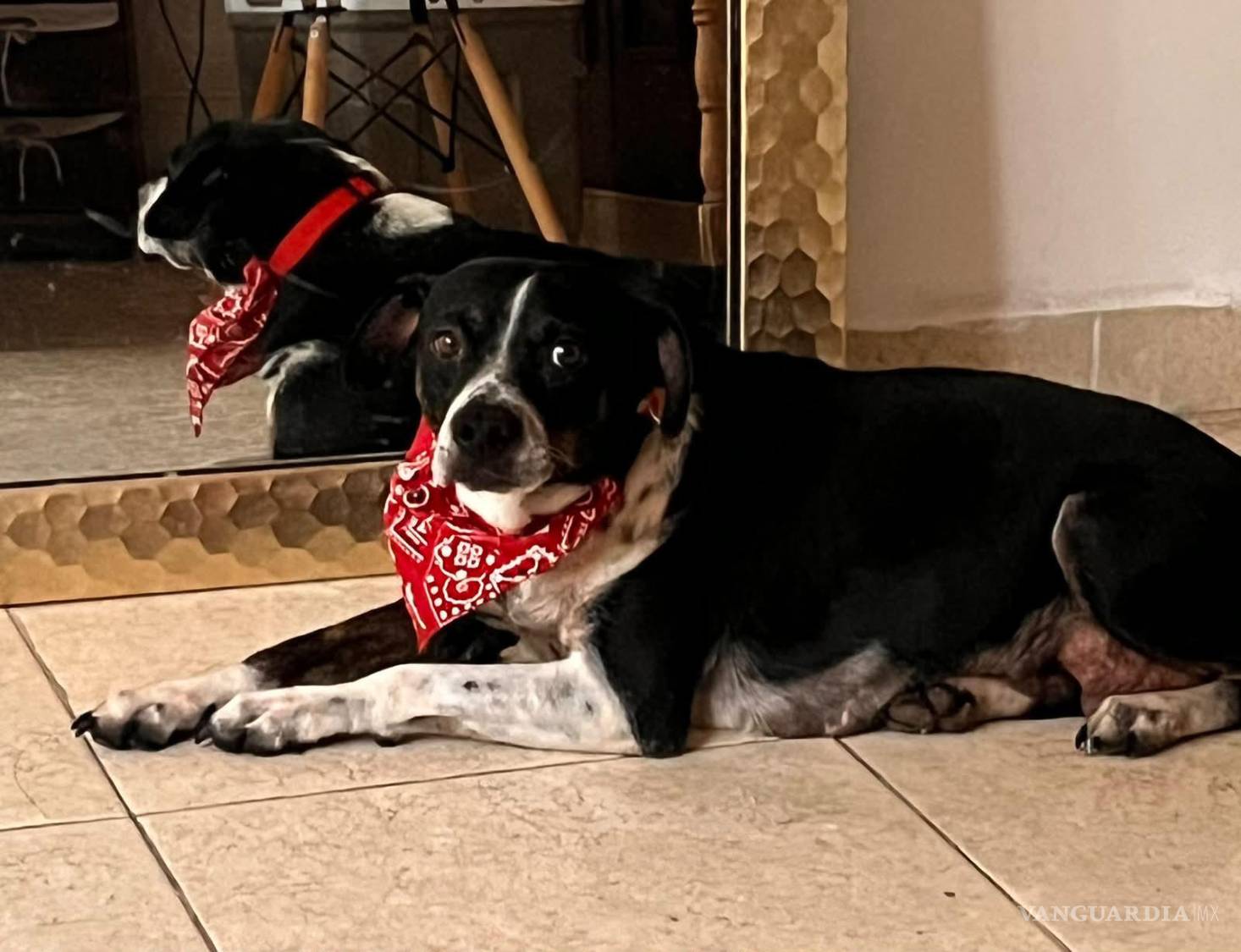 $!Jacinta no busca lástima, sino una oportunidad: una familia paciente que vea en ella a una compañera noble, sensible y agradecida.