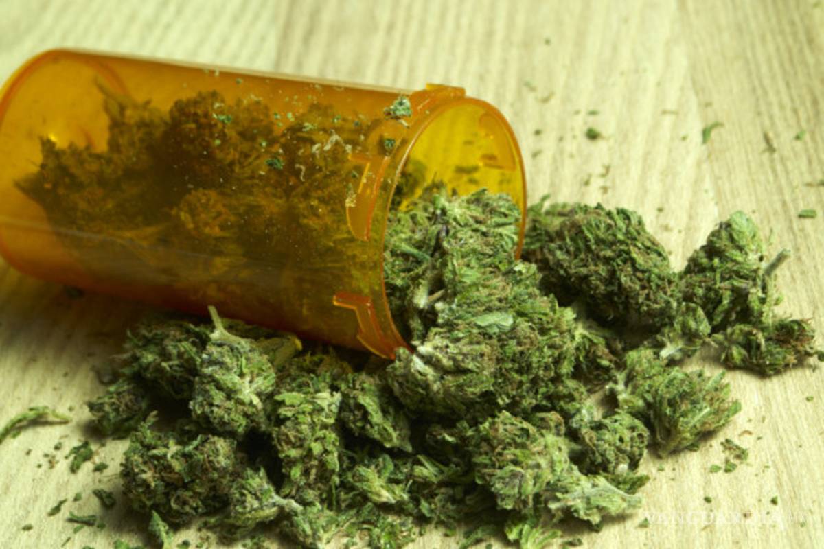 Conadic, ‘sin impedimentos’ a uso de mariguana medicinal