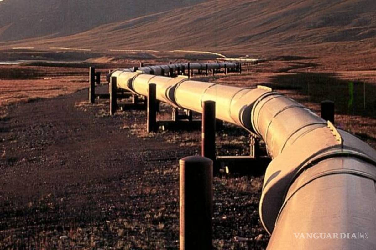 Comisiones excesivas podrían reducirse tras reuniones con empresas de gasoductos: AMLO