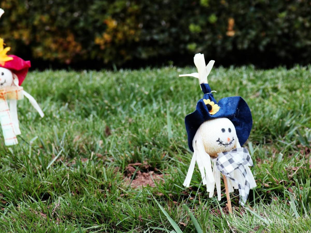 $!La respuesta puede variar según tus preferencias personales y el tipo de decoración que planees.