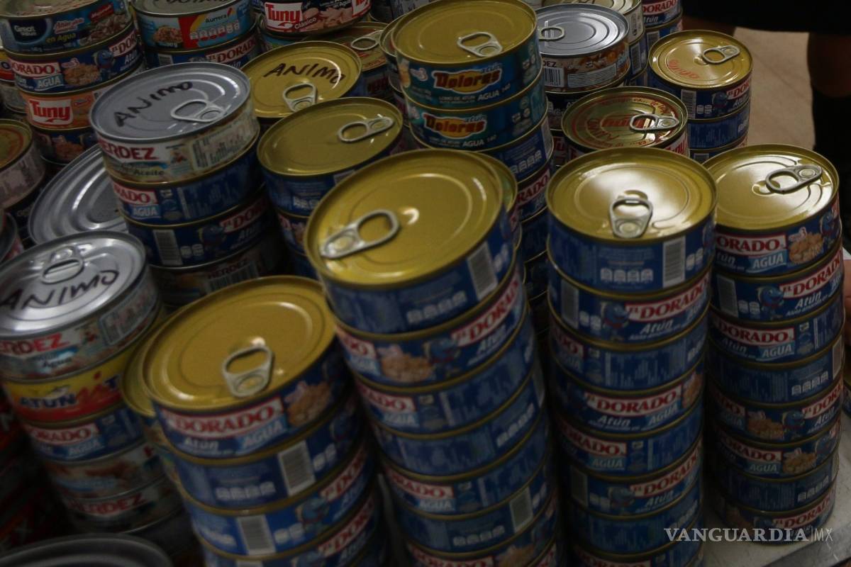 Encuentran carne de delfín en latas de atún vendidas en México