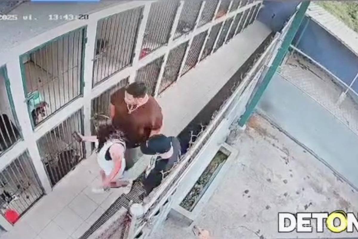 Pululan mascotas género humano, en la propaganda política