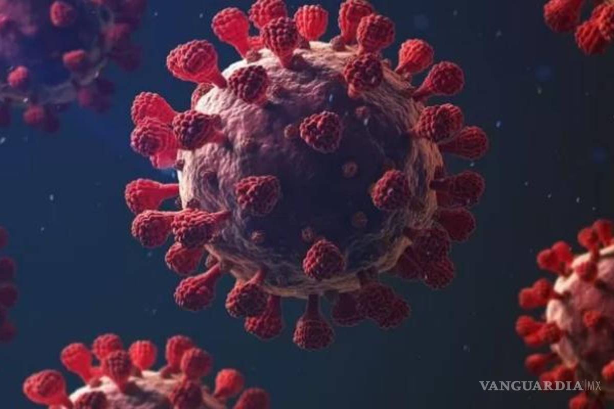 Anticuerpos contra COVID persisten 2 años tras sufrir la enfermedad: estudio