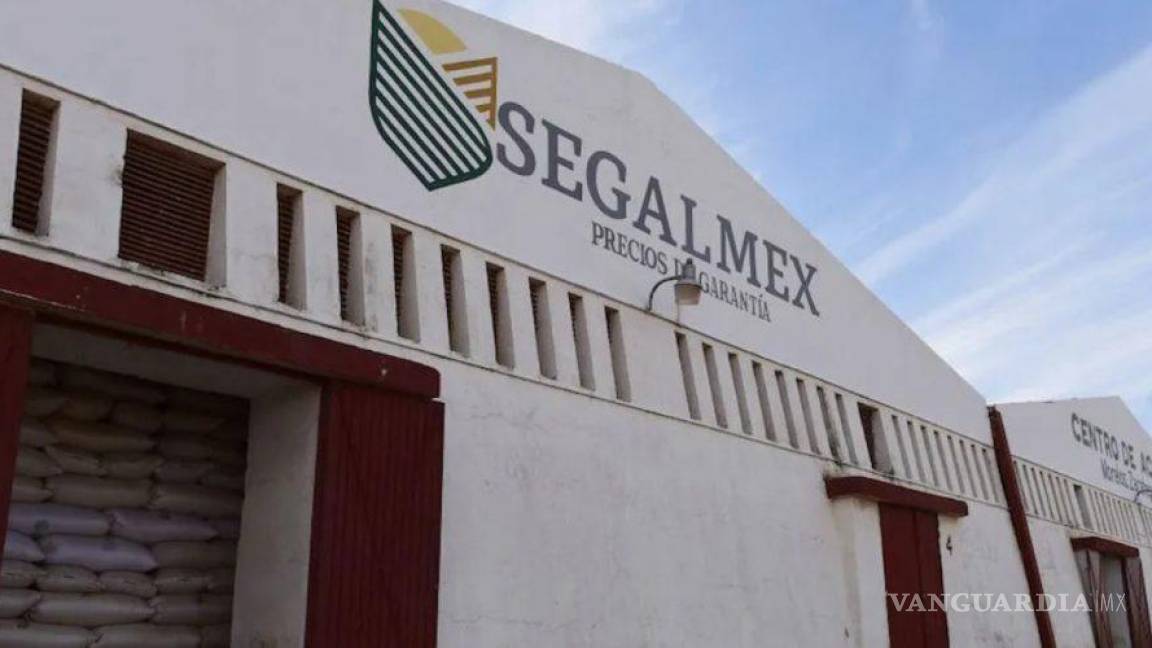 Segalmex, Diconsa y Liconsa en grave desastre financiero; detectan irregularidades en operación de 9 mil 500 mdp