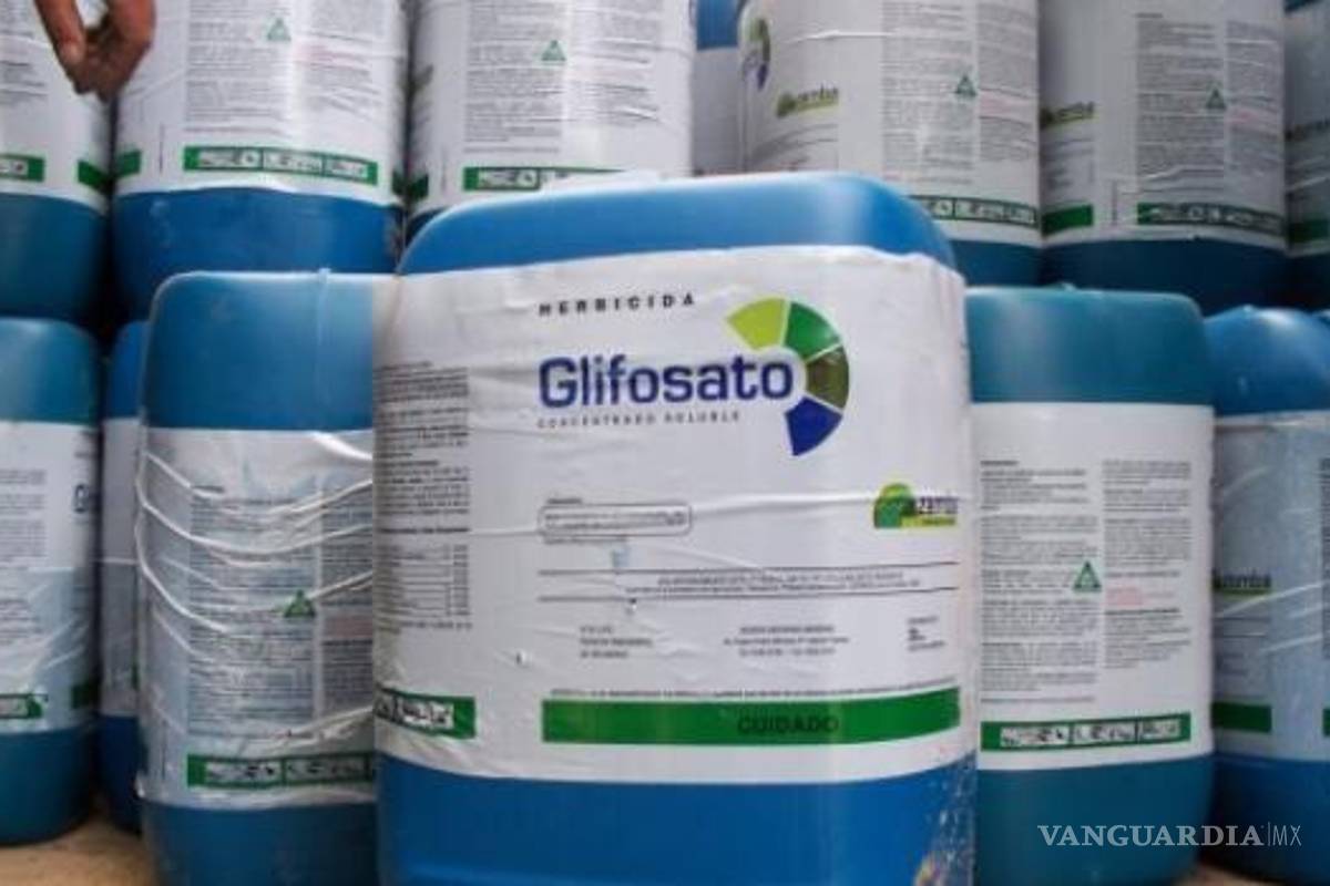 AMLO acepta que glifosato siga importándose a México, hasta que haya sustituto