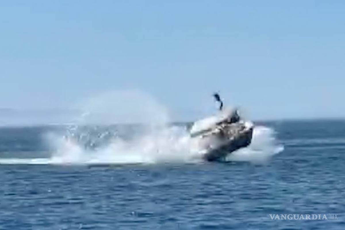 Bote choca contra ballena en Baja California Sur; hay seis lesionados