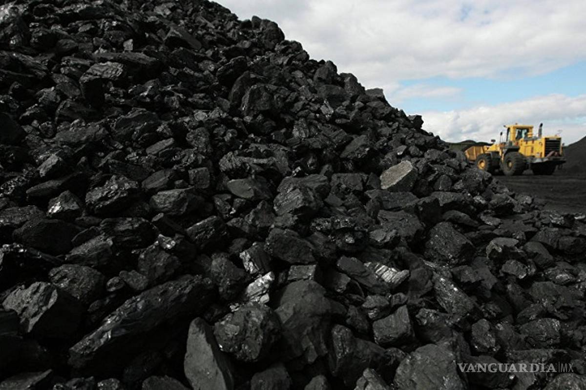 ‘Requiere Carbonífera de esfuerzo conjunto’