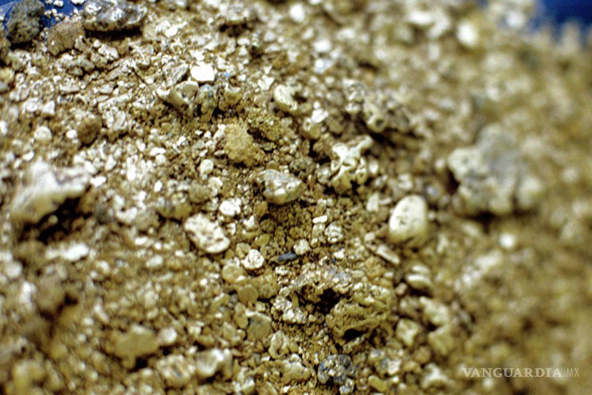 Sin freno la extracción minera en México, 'saqueo' es peor que durante la Colonia