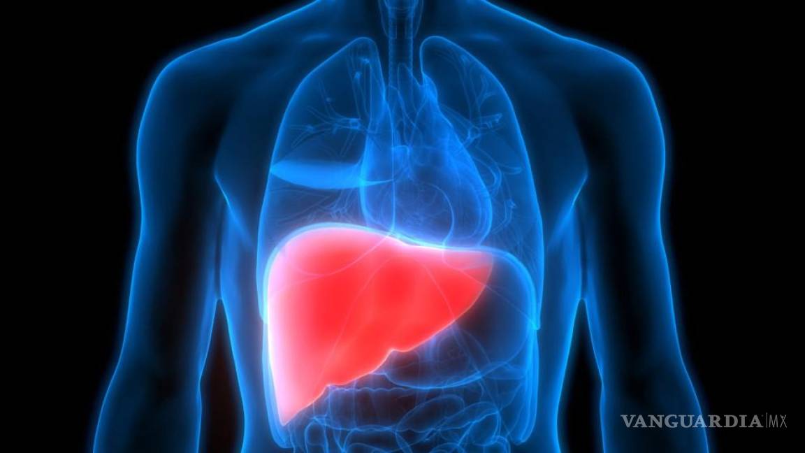 Pediatras alertan por llegada de hepatitis aguda de niños; 10% de pacientes podrían requerir trasplante de hígado