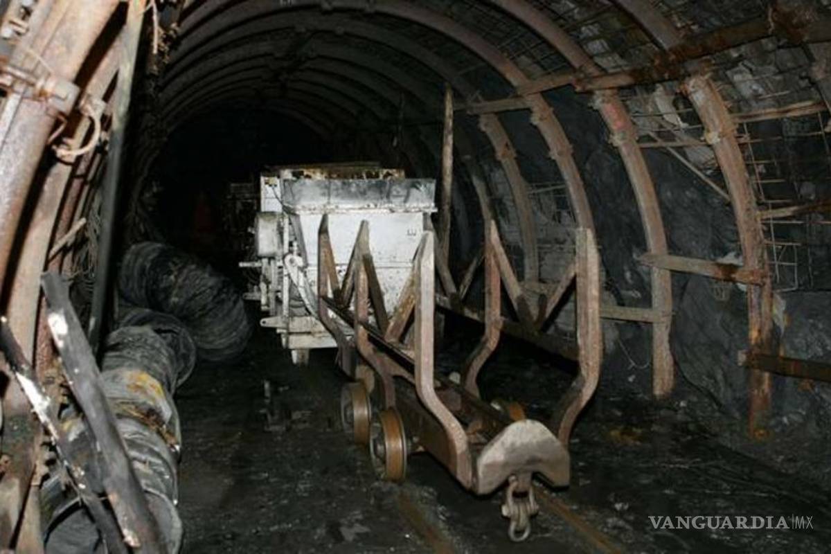 Cae venta de carbón: hay crisis