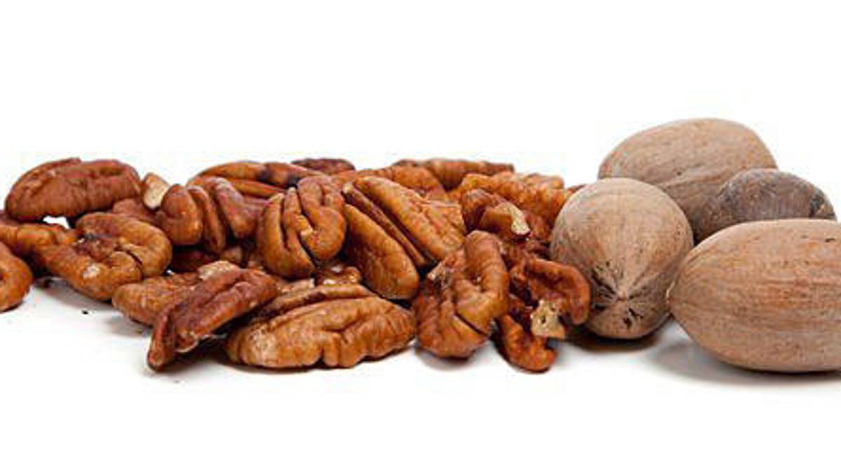 Hasta 30 mil pesos al día llegan a vender comerciantes de nuez en Saltillo