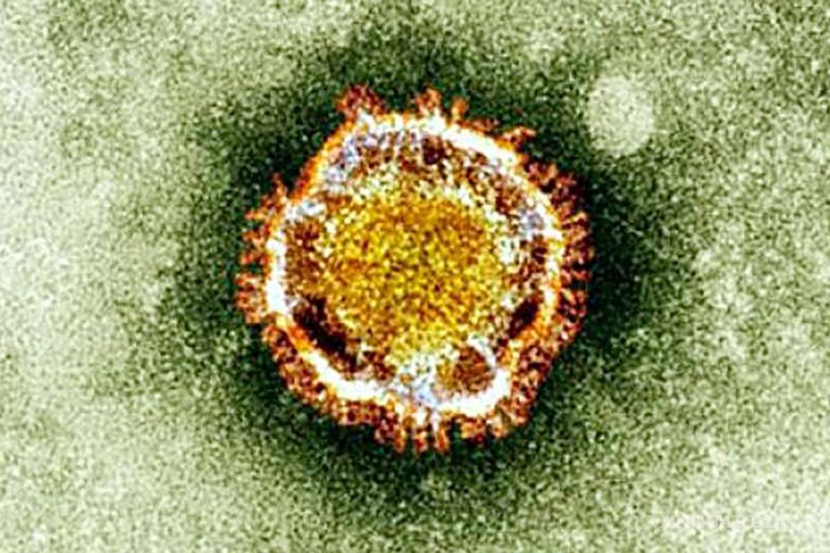 Alerta la OMS por nuevo virus surgido en China, ven eventual ola de contagios