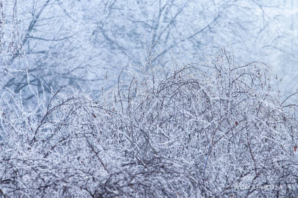 Historia de dos mitades