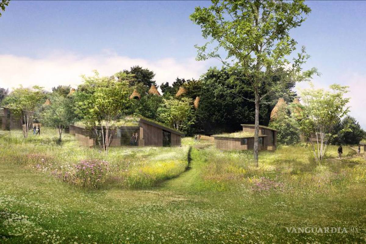 $!Viviendo en un "nido"