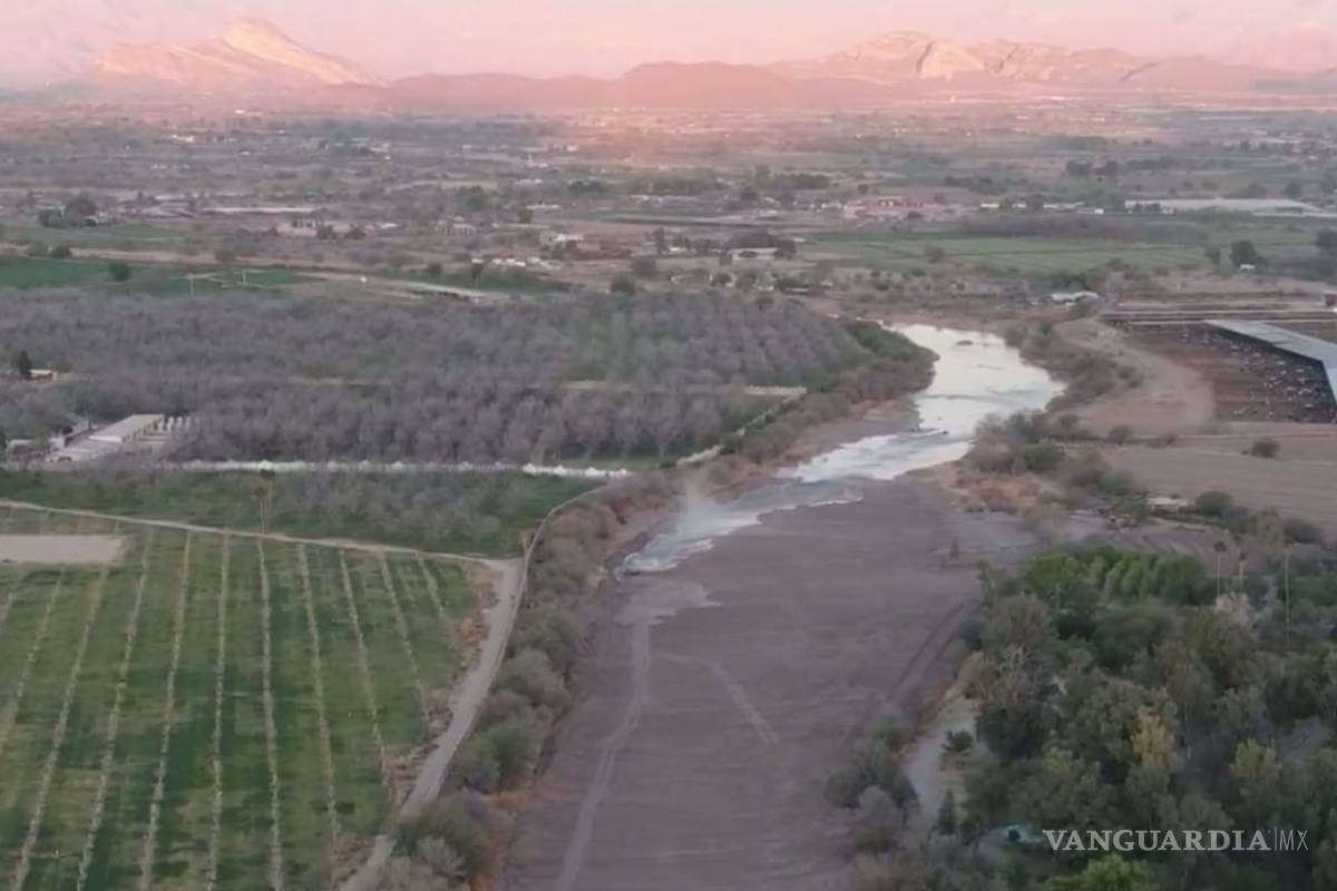 Arranca ciclo agrícola primavera-verano en la Comarca Lagunera Coahuila-Durango