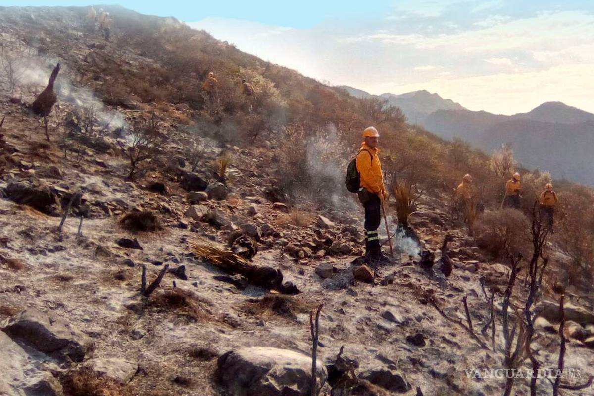Encarcelan a 2 presuntos involucrados por incendio en cañón de San Lorenzo de Saltillo; controlan 70%, 450 hectáreas devastadas