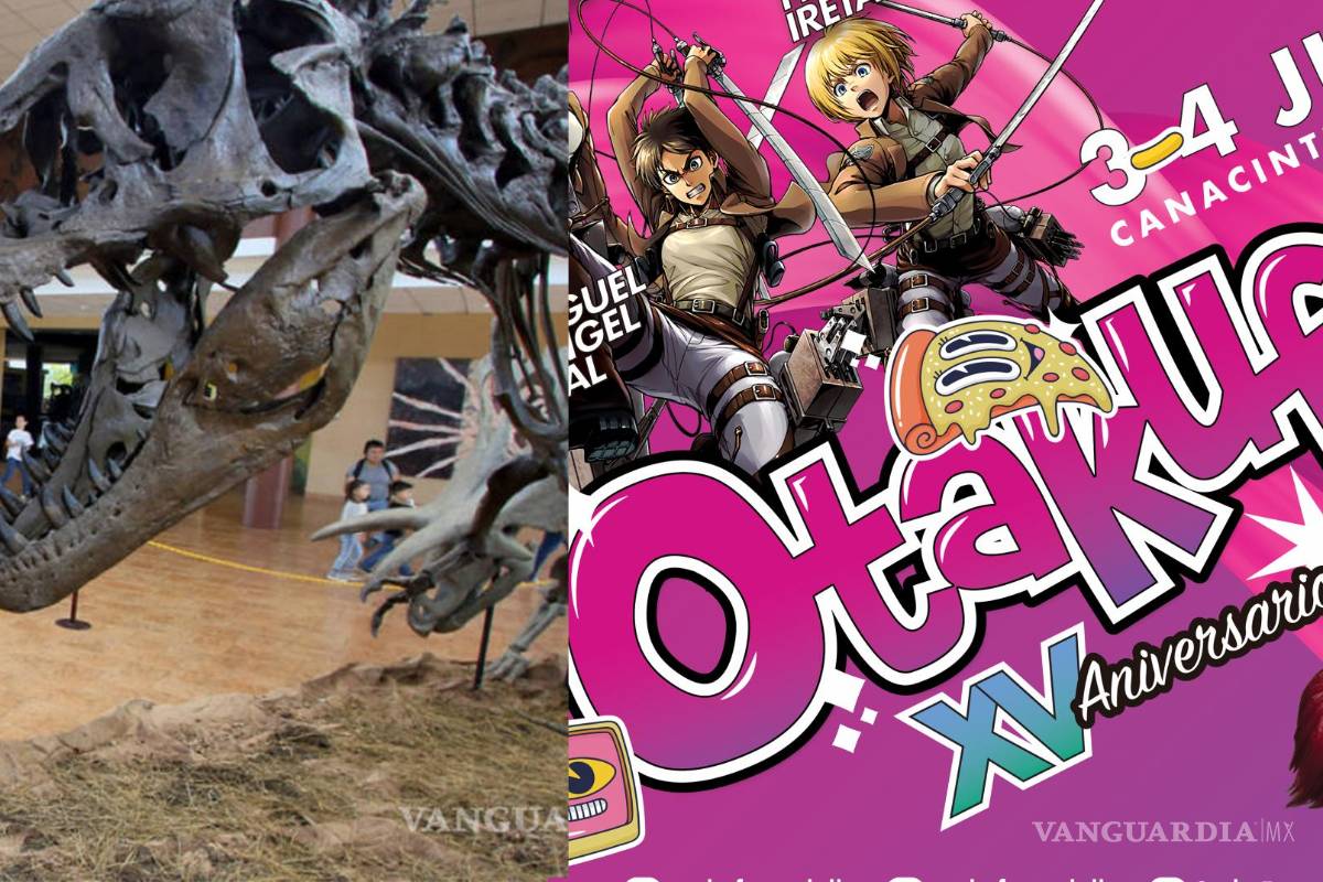 El MUDE a 100 pesos, el Otakufest y más recomendaciones para disfrutar este fin de semana