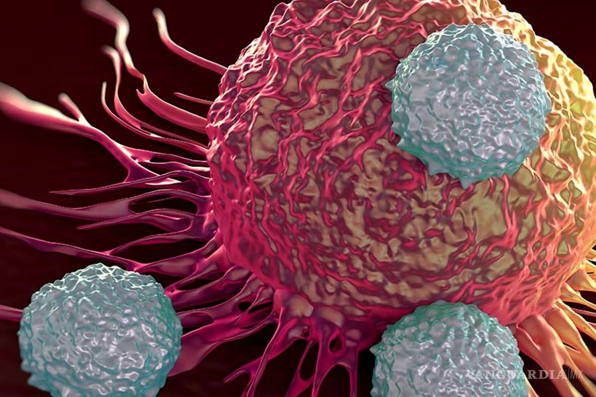 La Teragnosis podría se la nueva esperanza contra cáncer: expertos