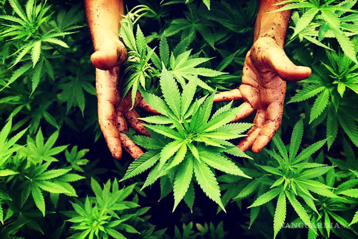 Una historia verde, pero para nada ecológica...