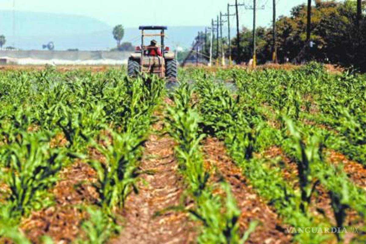 Agroproductores analizan asumir costo de aranceles de Trump