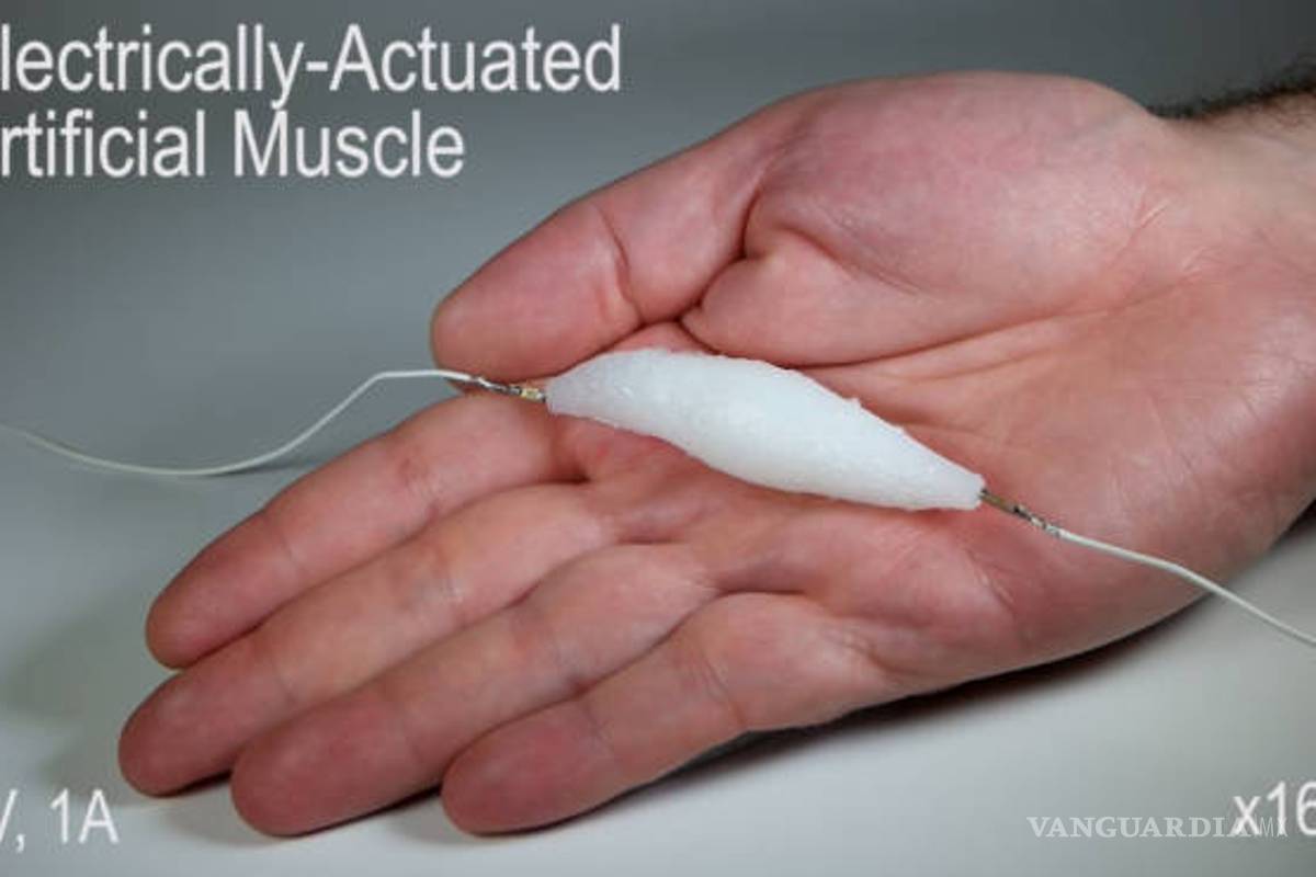 Científicos desarrollan material equivalente al músculo humano para robots