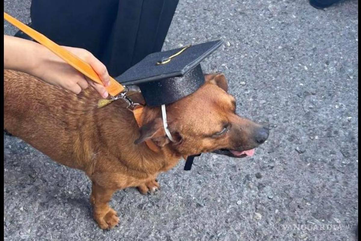‘El Cejas’, perrito callejero, también se gradúa de secundaria en Saltillo