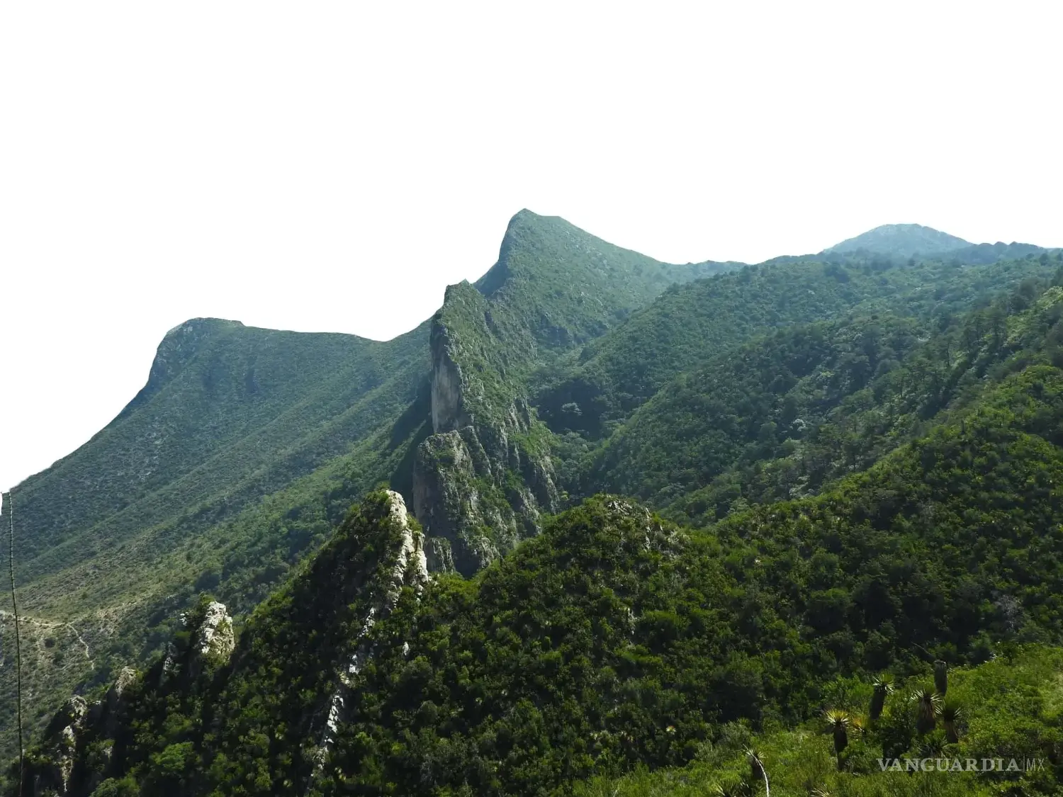 $!El Cañón de San Lorenzo ofrecerá recorridos guiados para promover la actividad física en contacto con la naturaleza.