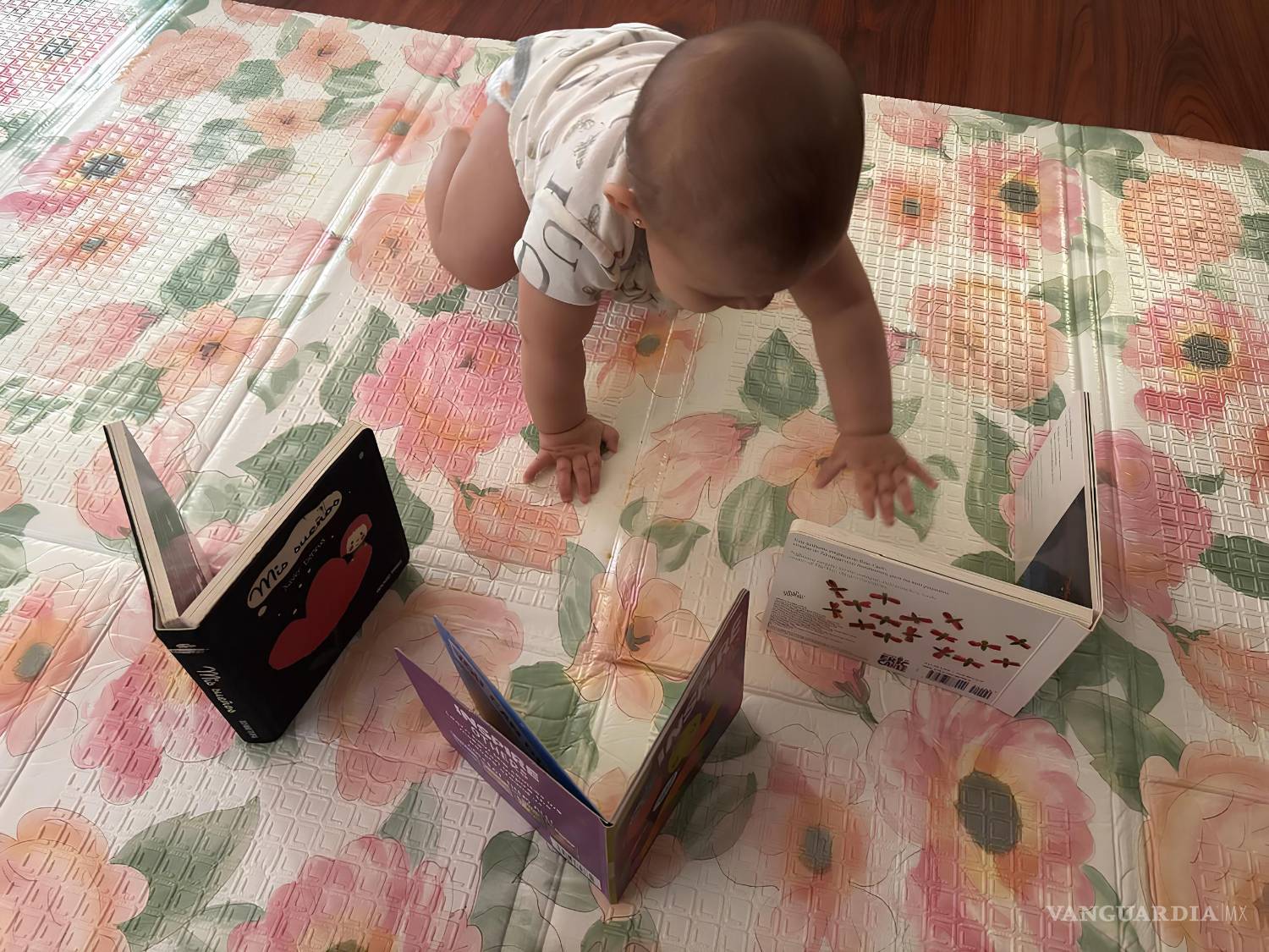 $!Un bebé explora libros de cartón durante una sesión de lectura temprana, una práctica que fomenta la curiosidad y el vínculo afectivo desde los primeros meses.