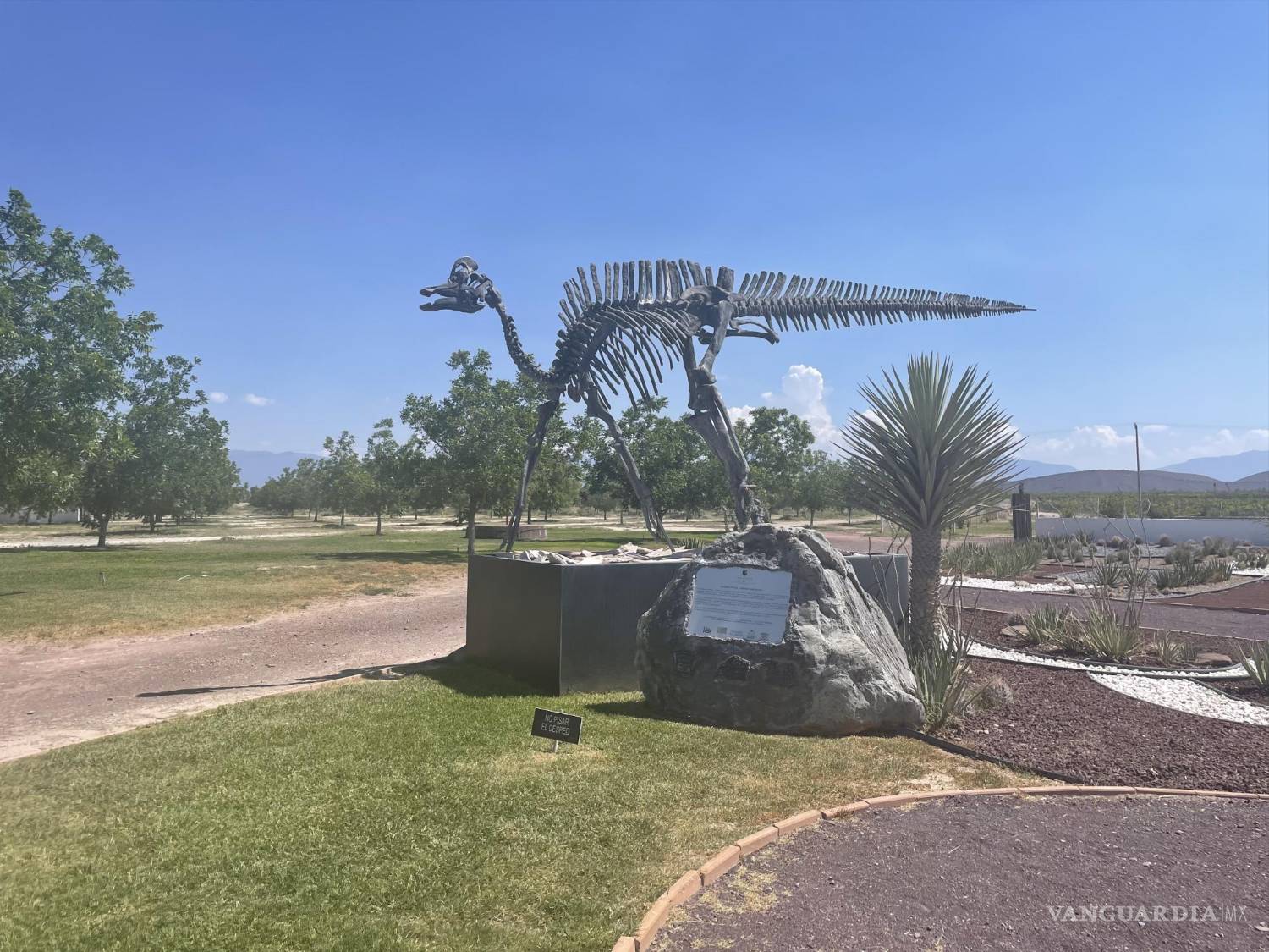 $!Hacienda Florida es una de las primeras paradas de la Ruta Vinos &amp; Dinos de Coahuila.