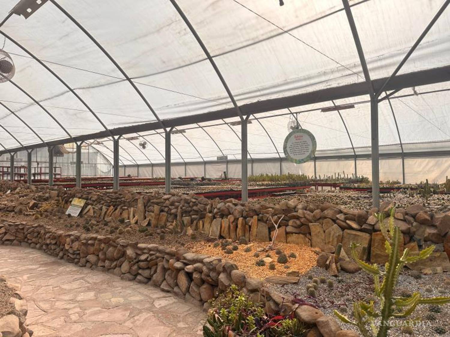 $!Protecciones adicionales para plantas no nativas en los jardines del Mude.