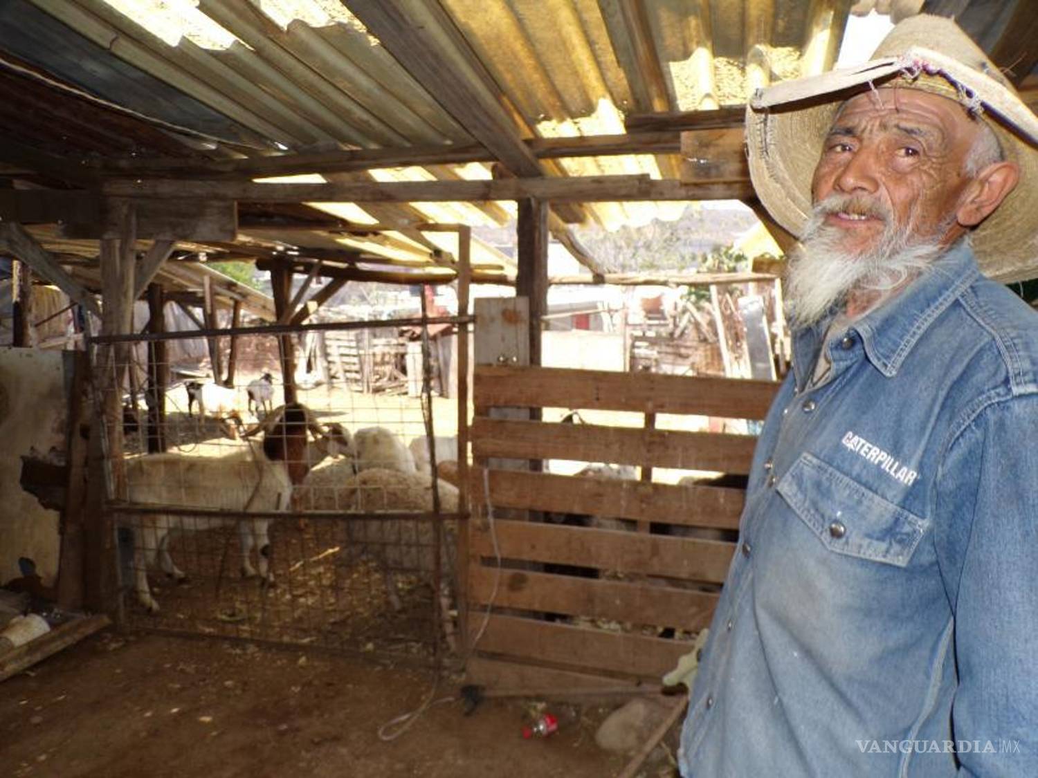 $!Es la tercera ocasión don Memo fue víctima de ataque; vecinos afirman que la lideresa Prudencia Santana pretende despojarlo del lugar en que habita.