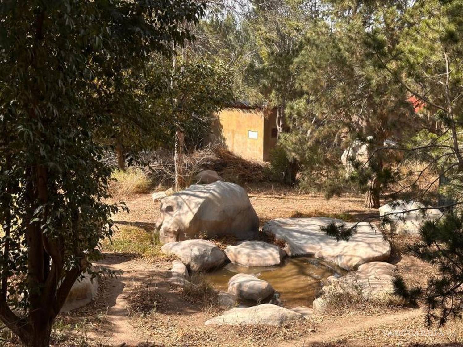 $!Reptiles y plantas reciben cuidados específicos mientras que recomiendan resguardar a mascotas y evitar exponerlas al frío.