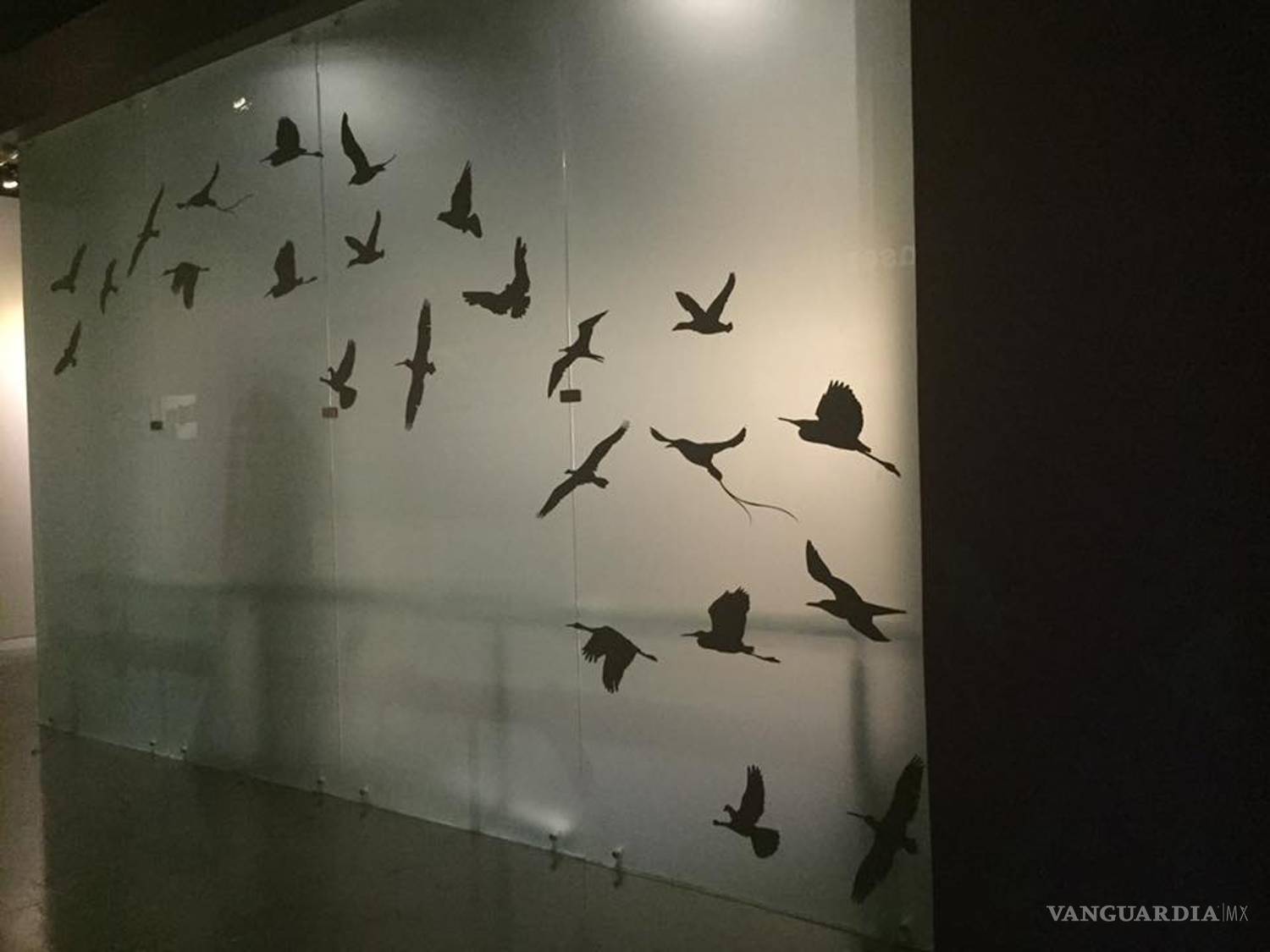 $!Empresa 'balconea' remodelación del Museo de las Aves