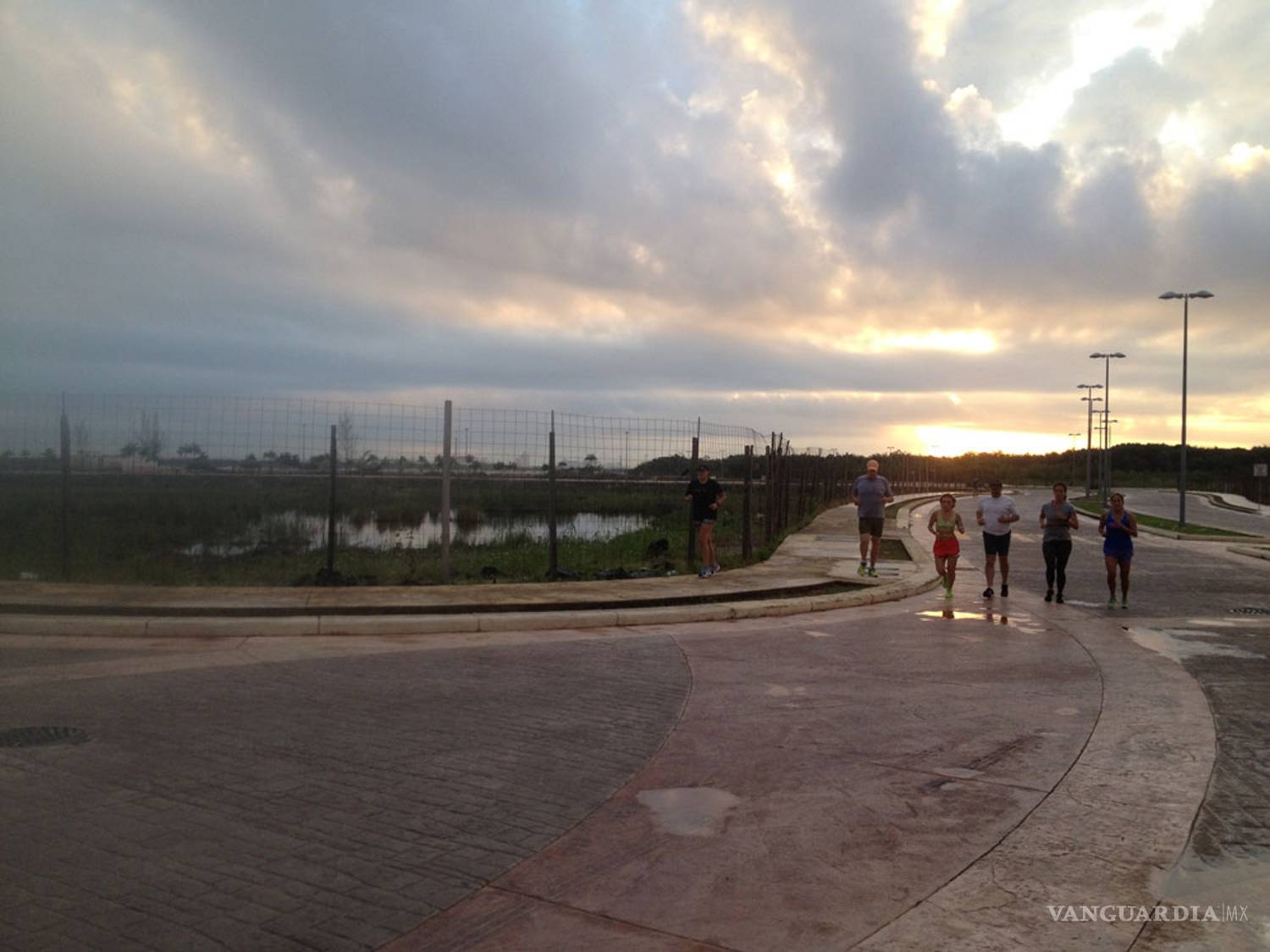 $!La cocodrila que llora a sus hijos en Tajamar